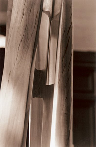 Dtail de Columnia